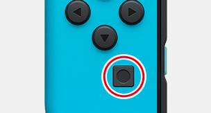 capture button