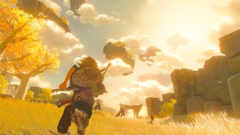 images/products_23/sw_switch_tlo_zelda_botw2/__preview/NSwitch_TheSequelToTheLegendOfZeldaBreathOfTheWild_12.jpg